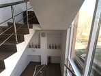 photo_low255264