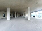 photo_low255267