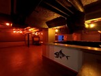 photo_low255279