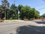 photo_low255323