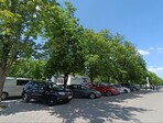 photo_low255325