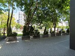 photo_low255395