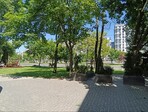 photo_low255396