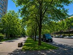 photo_low255456