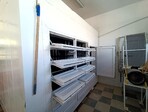 photo_low255692