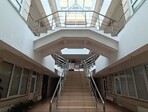 photo_low255724