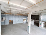 photo_low255980