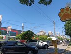photo_low256050