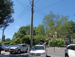 photo_low256051