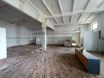 photo_low256203