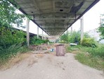 photo_low256211