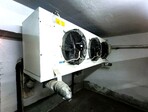 photo_low256224