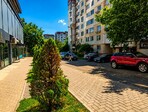 photo_low256280