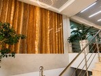photo_low256347
