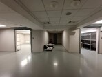 photo_low256514