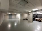 photo_low256513
