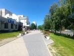 photo_low256539
