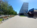 photo_low256541