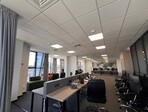 photo_low256629