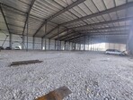 photo_low256997