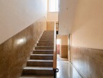 photo_low257142