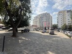 photo_low257362