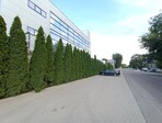 photo_low257396
