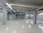 photo_low257405
