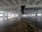 photo_low257414