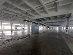 photo_low257409