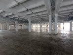 photo_low257416