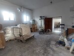photo_low257455