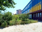 photo_low257504