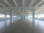 photo_low257508