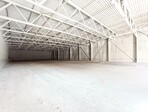 photo_low257533