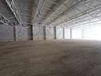 photo_low257534
