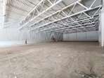 photo_low257536