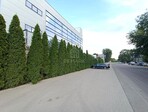 photo_low257655