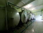 photo_low257667