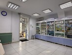 photo_low257814