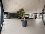 photo_low257843