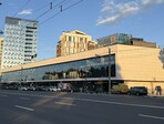 photo_low257848