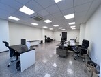 photo_low257871