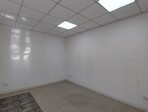 photo_low258119