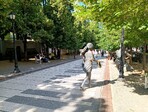 photo_low258122