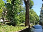 photo_low258150
