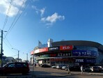 photo_low258293
