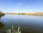 photo_low258497