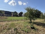 photo_low258498