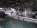 photo_low258602